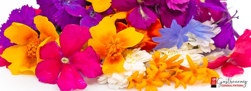 Edible Flowers and Microsprouts in Kitchens