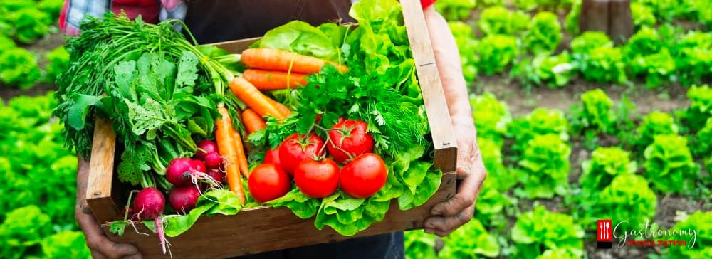 Organic Agriculture and Its Importance in Sustainable Gastronomy